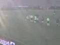 videos de mancha verde no serra dourada 4