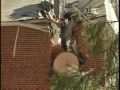 Trees and Insurance