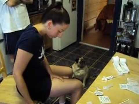 ERICA'S FIRST AVONEX INJECTION 7-21-2012 006.AVI