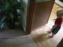 Will and Duke play together