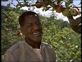 trailer from the cider house rules starring tobey maguire charlize theron an michael caine. very good movie.