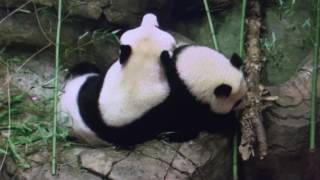 Smithsonian National Zoo