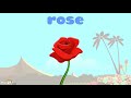 Learn About Flowers - Interactive Learning Videos