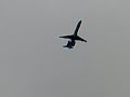 Embraer 145LR departing from East Mids