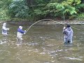 sandy creek 2009