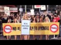 Publicidad Perritos de Pepsi