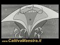 Carosello Coca-Cola 1965