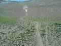 amazing straight line