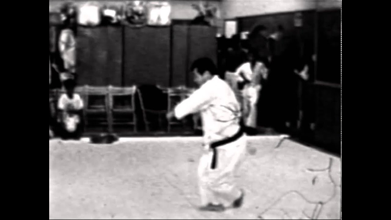 Chapter 3 - Kyokushin Kata