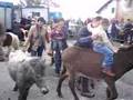 IBAETA FESTAK