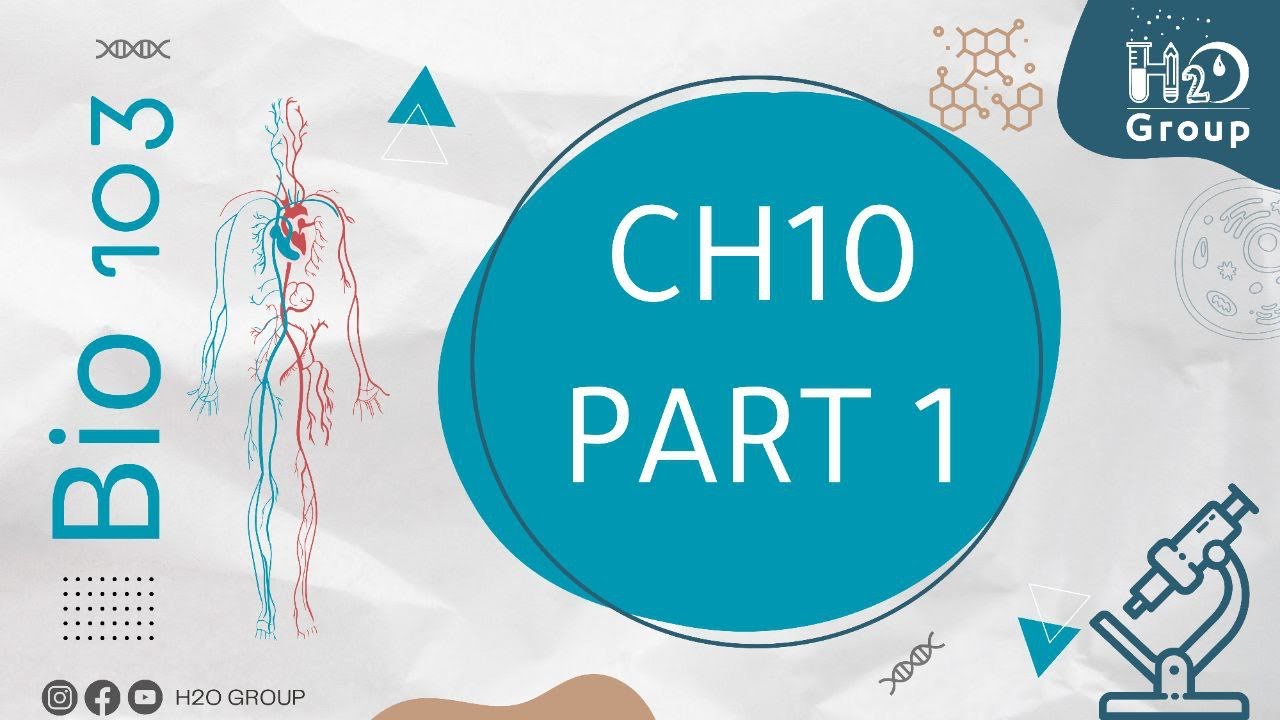 BT103 Lecture 15 Ch10 part1 || Dr Rami Alkhatib