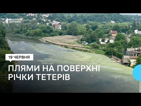 ​Пятна на поверхности реки Тетерев – житомирские экологи взяли пробы воды