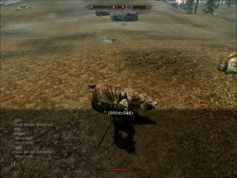 how to cheat in skyrim pc