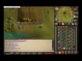 Lakerstar27 gets 99 agility