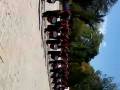 videos de 