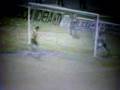 Final do Campeonato Pernambucano de 1993 (parte 1)