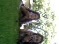videos de uno de dois. :B