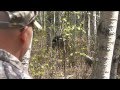 Alberta Black Bear Hunting