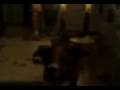 Me Playing Fetch With My Dog