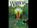 Tribute to Warriors