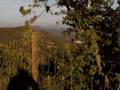 Vineyard Cycling Track