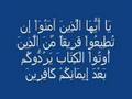 هل نصاري مصر مضطهدون ؟