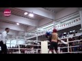 ver trabalho Campeonato do Mundo de Artes Marciais 2014