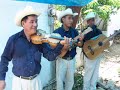 Trio Calamar [El canario]