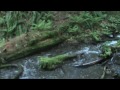 Click here to watch this video Bridal Falls