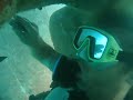 Lumbadive Carriacou Grenada Diving