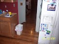 Kitchen Remodeling Project 2007