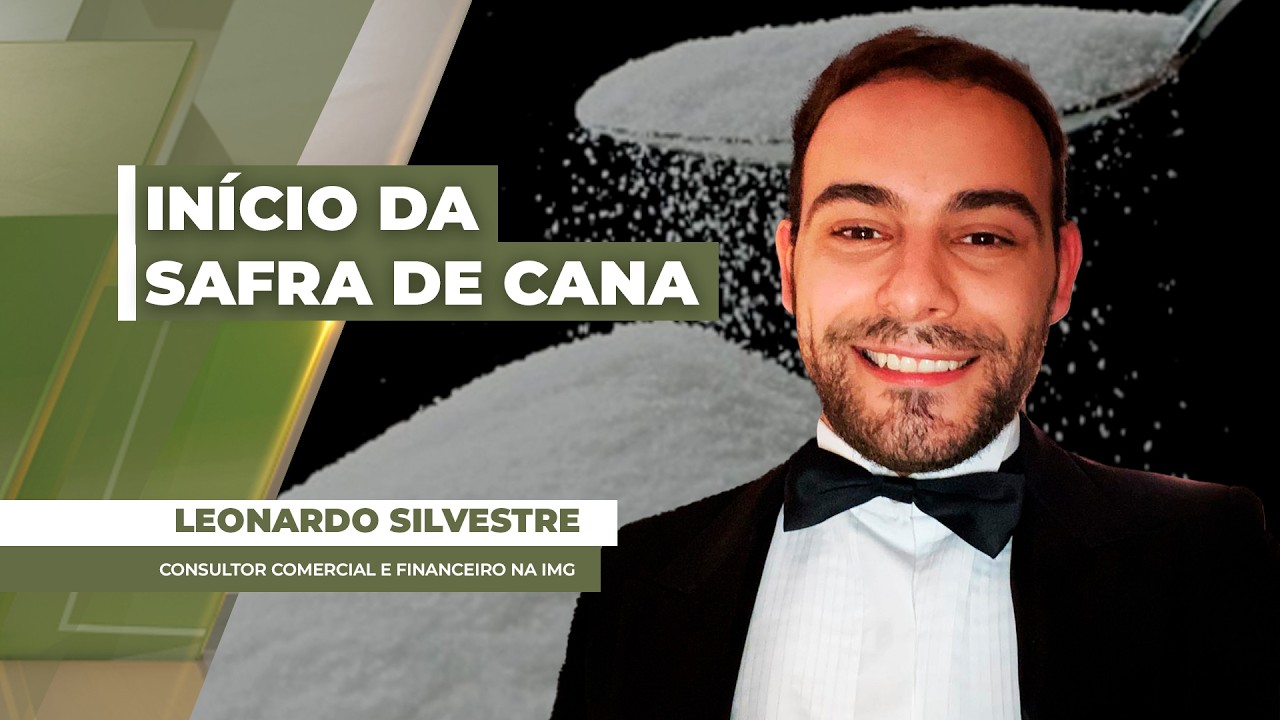 Início da safra de cana pressiona preços de açúcar e etanol