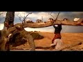 EDS Cat Herding Video