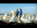 Epic Gannet journeys - Animal Camera - BBC