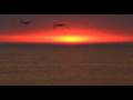 videos de Exit With Fanfare