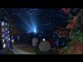 LDP(Laboratory Dance Project) / No Comment - Part2