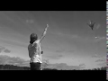 Flyga Drake