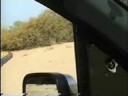 الجزء الثاني من صيد القمري