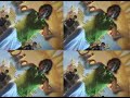 JINETES DEL AMOR - ALEGRIA - MIS DOS AMORES JINETES DEL AMOR - ALEGRIA - MIS DOS AMORES