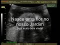Quando Mamãe Ama - Ultra-sonografia Maria Luiza