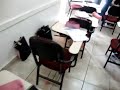 o filme da foto.