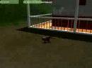 Videojuego Alouatta