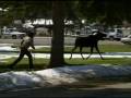 videos de Moose Music