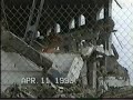 Comiskey Park Demolition 2