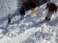 videos de ski backflip