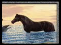 My version of the budweiser clydesdales My version of the budweiser clydesdales