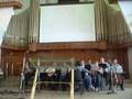 Orquestra de Bandolins / Mandolin Orchestra #2