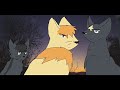 old-warriors-into-the-wild-chapter-2-animarion.html
