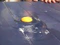 fried egg fried egg
