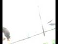 sati vidisha ma colg